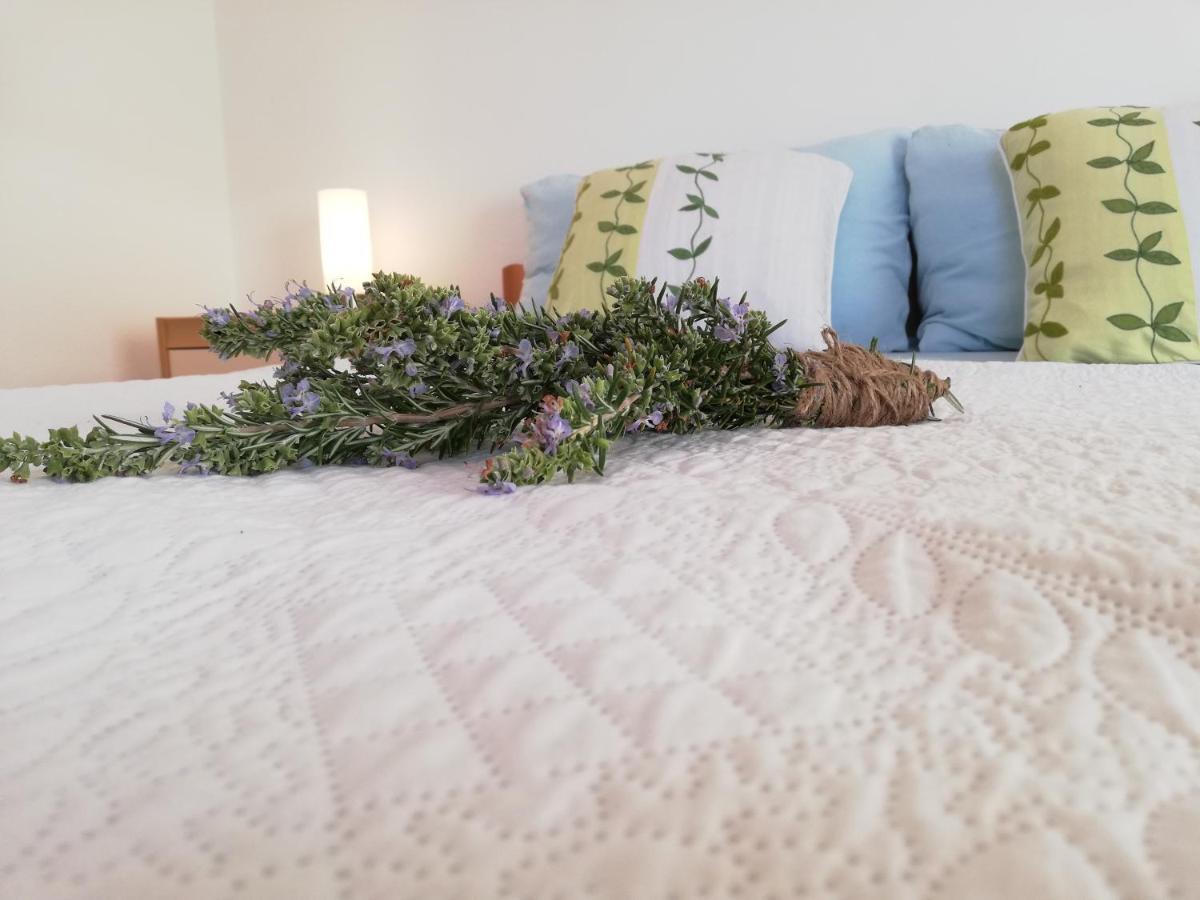 Apartment Anzotika Nin Dış mekan fotoğraf